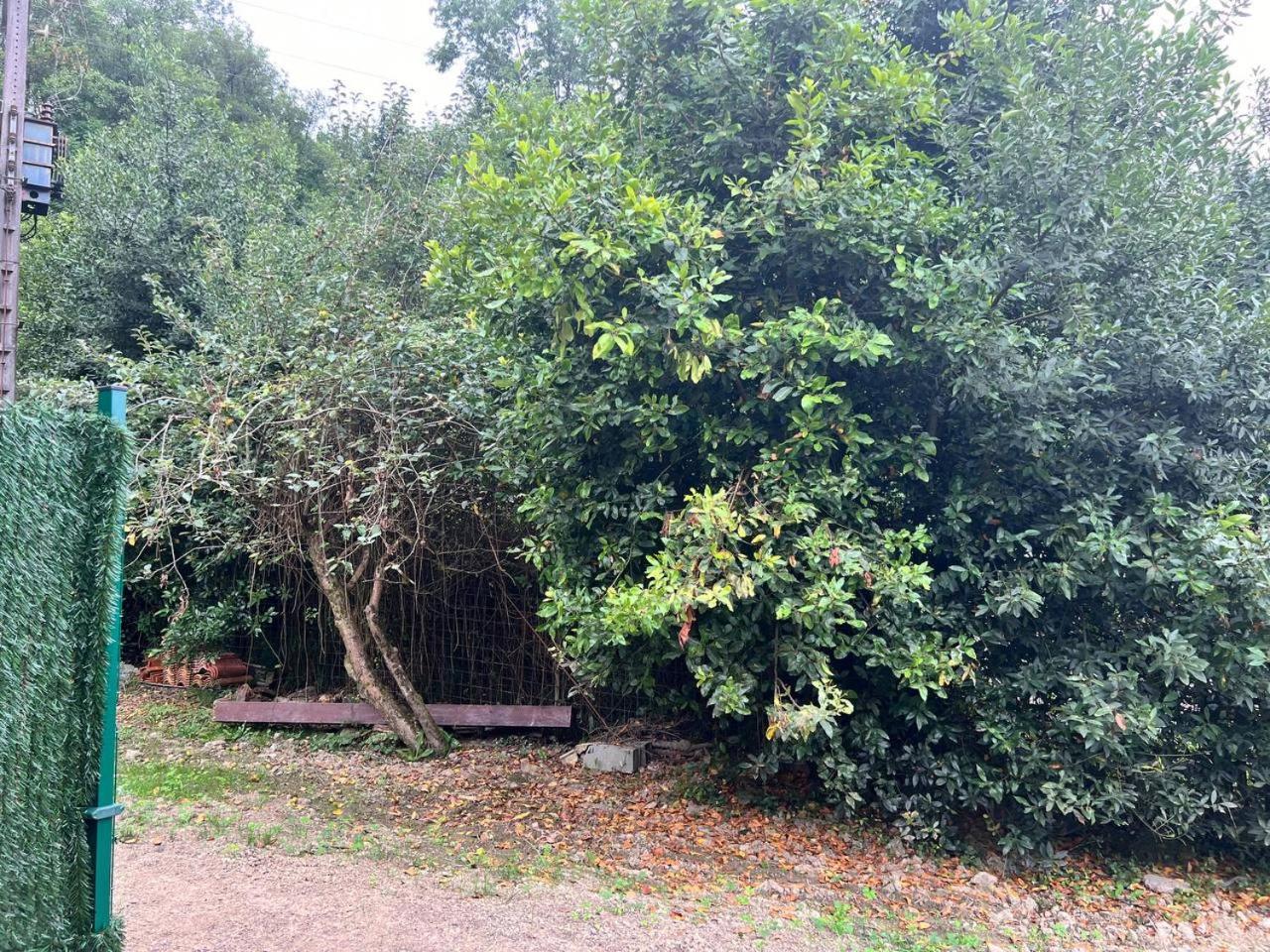 Erletxe Aterpea Hostel Lezo Luaran gambar